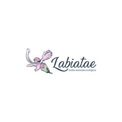 Labiatae